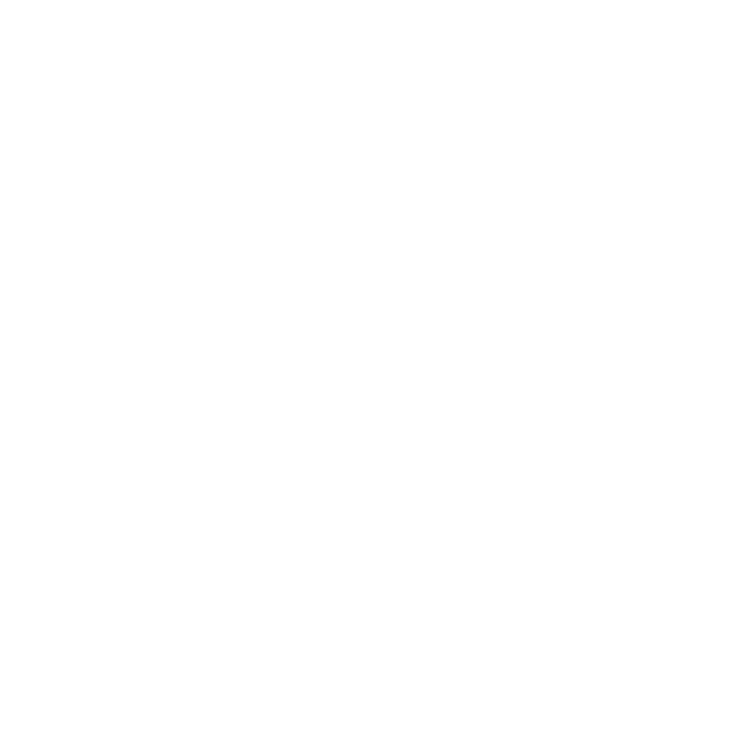 De Plastermasters
